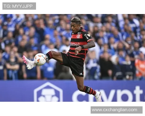 足球探探推荐：畅享精彩赛事与球员分析的最佳平台