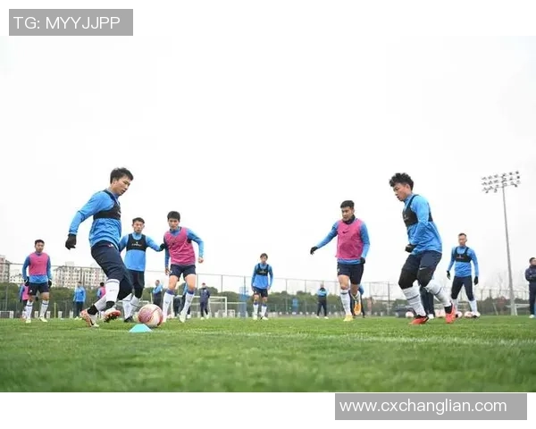 重磅专题：杭州排球队如何实现整体压制与战术革新之路